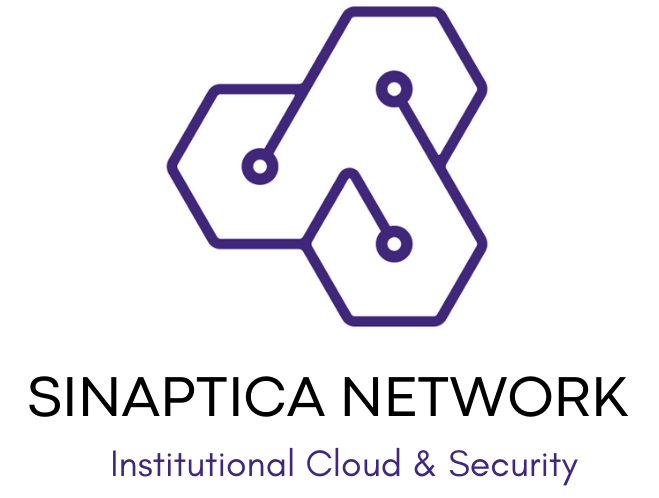 SINAPTICA NETWORK